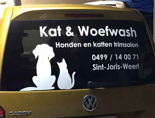 Kat & Woefwash